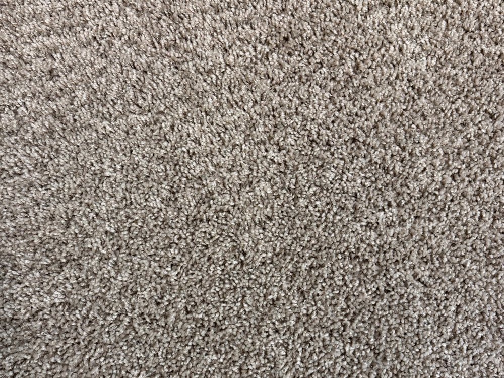 Dune Mix shag-inspired carpet in a beach-combed neutral shade